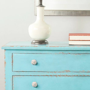 Elegant Sand Dollar Coastal Decor  Ceramic Knob