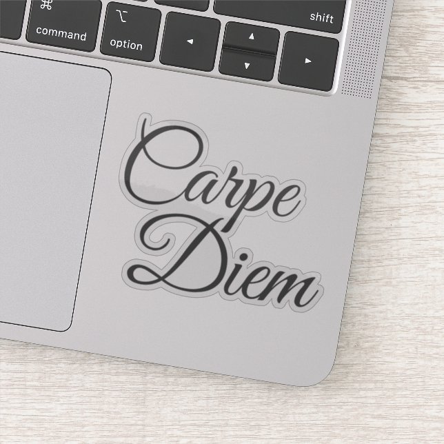 Elegant Script Carpe Diem Motivational (Detail)