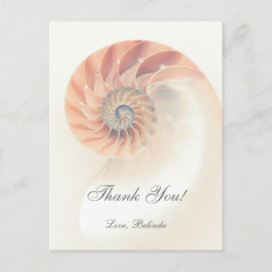 Elegant Sea Shell Thank You Card