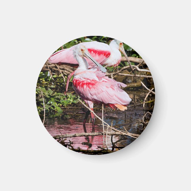Elegant Sentinel: Spoonbill Magnet (Front)