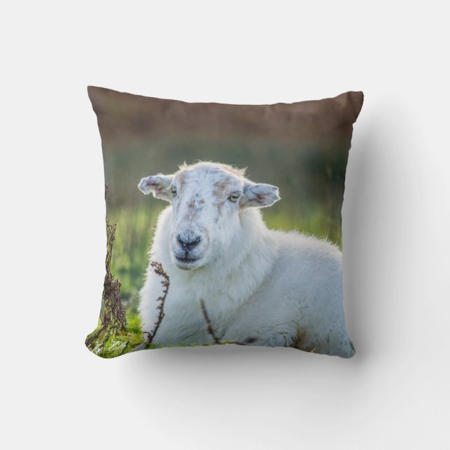 Elegant Sheep Cushion (Front)
