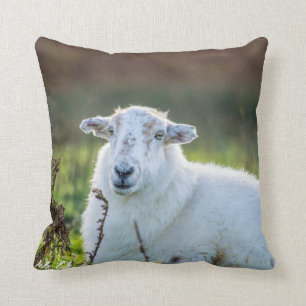 Elegant Sheep Cushion