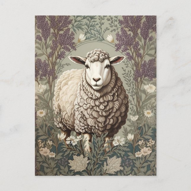 Elegant Sheep Lavender Flower Background Postcard (Front)