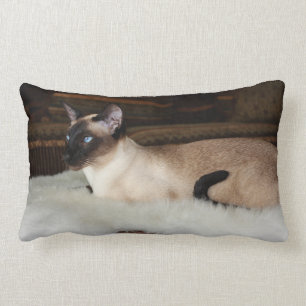 Elegant Siamese Cat Lumbar Cushion