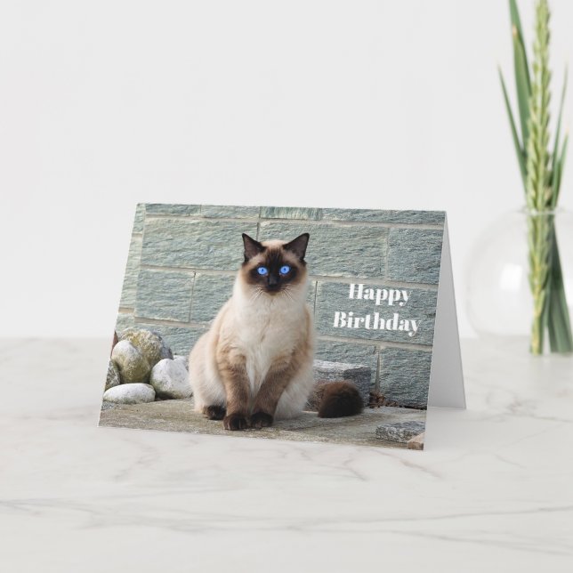Elegant Siamese Cat Photo Birthday Card (Front)