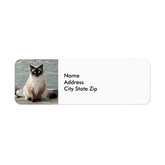 Elegant Siamese Cat Photo Label Return Address Label (Front)