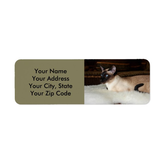 Elegant Siamese Cat Return Address Label (Front)