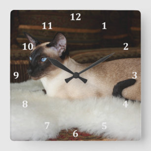 Elegant Siamese Cat Square Wall Clock
