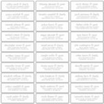 Elegant Simple Chic Wedding Guest Names Address<br><div class="desc">Composed of simple sans serif and modern serif typography. These elements are simple,  elegant,  and modern. This has 30 stickers. 
 
 This is designed by White Paper Birch Co. exclusive for Zazzle.
 
 Available here:
 http://www.zazzle.com/store/whitepaperbirch</div>