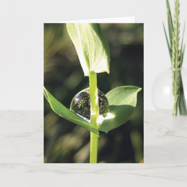 Elegant, Simple, Clover with Dew Nature Card (Front)