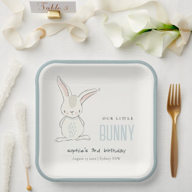 Elegant Simple Cute Blue Bunny Boys Kids Birthday Paper Plate (Wedding)