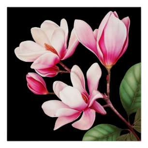 Elegant Simple Pink Flower Floral Art Poster