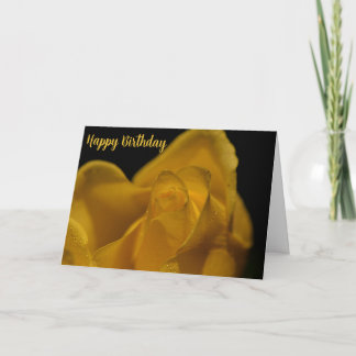 Elegant Single Yellow Rose Close Up Birthday Card