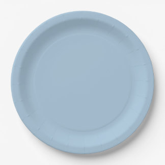 Elegant Sky blue  Paper Plate