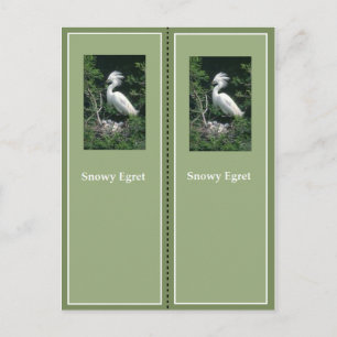 Elegant Snowy Egret Bookmark Postcard