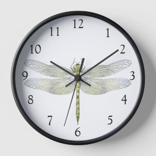 Elegant soft Dragonfly line drawing  Clock