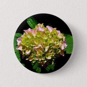 Elegant soft green pink green floral hydrangea 6 cm round badge