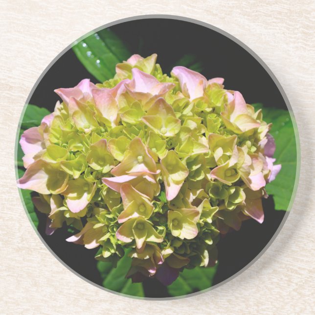Elegant soft green pink green floral hydrangea coaster (Front)