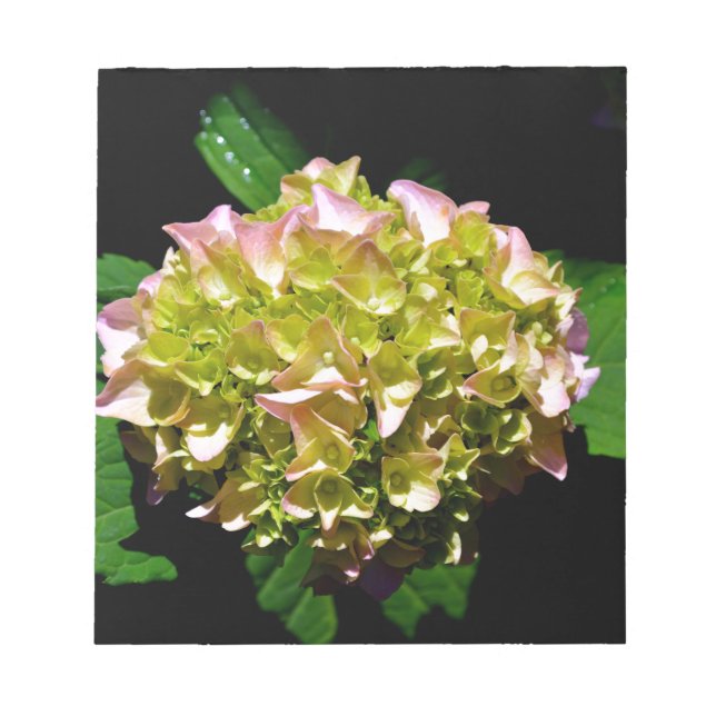 Elegant soft green pink green floral hydrangea notepad (Front)