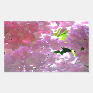 Elegant soft pink florals pink hydrangeas roses rectangular sticker