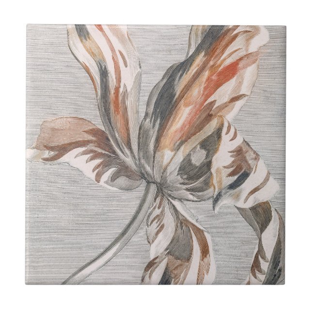 Elegant Striped Tulip Antique Flower Etching Ceramic Tile (Front)
