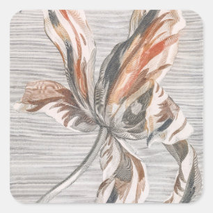 Elegant Striped Tulip Antique Flower Etching Square Sticker