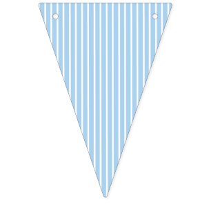Elegant Stripes White - Baby Blue Bunting
