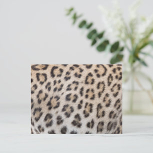 Elegant stylish leopard cheetah fur print pattern postcard