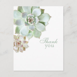Elegant Succulent Graduation Blank Thank You Card