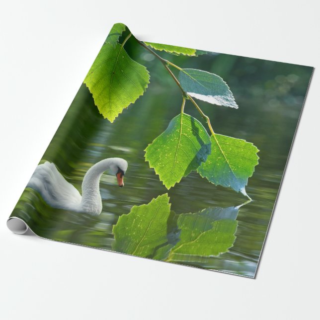 Elegant Summer Swan Wrapping Paper (Unrolled)