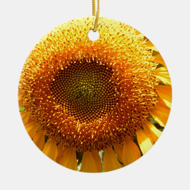 Elegant sunflower photo ceramic ornament (Front)