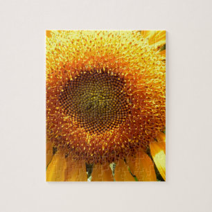 Elegant sunflower photo jigsaw puzzle