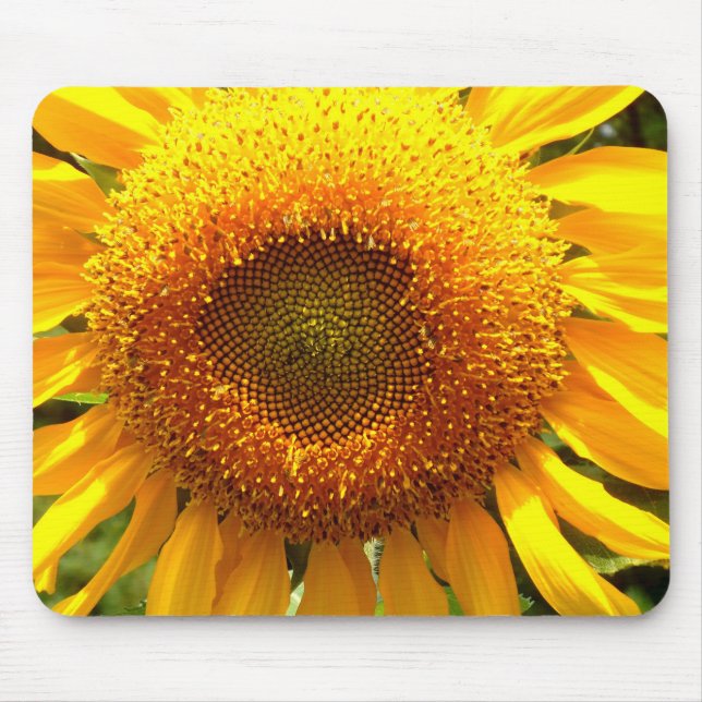 Elegant sunflower photo mouse pad (Front)