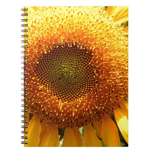 Elegant sunflower photo notebook (Front)