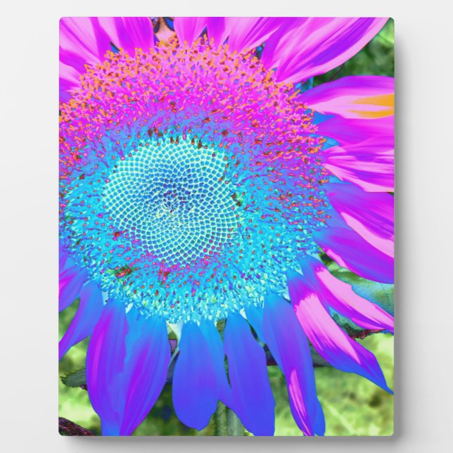 Elegant sunflower purple pink blue floral  plaque (Front)