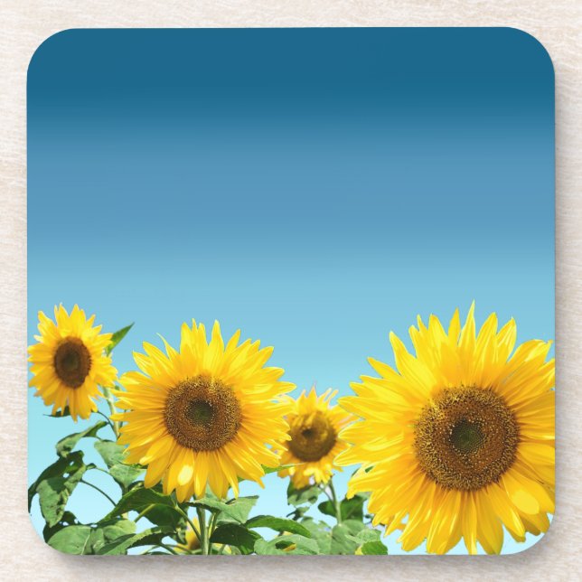 Elegant Sunflowers on Sky Blue Shades Coaster (Front)