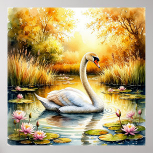 Elegant Swan Gliding in Tranquil Pond Poster