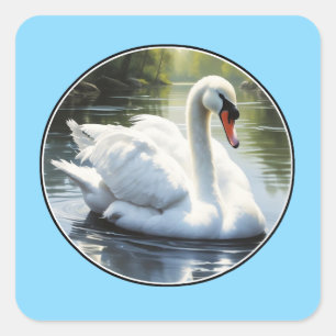 Elegant Swan is Swimming in Water Square Sticker