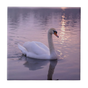 Elegant Swan Sunset Ceramic Tile