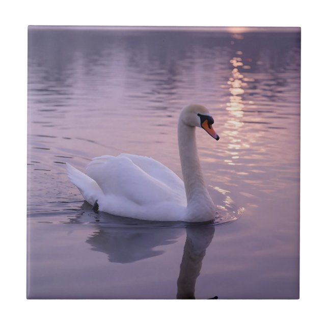 Elegant Swan Sunset Ceramic Tile (Front)