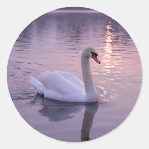 Elegant Swan Sunset Classic Round Sticker