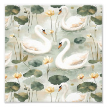  Elegant swans
