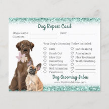 Elegant Teal Glitter Dog Grooming Report Card