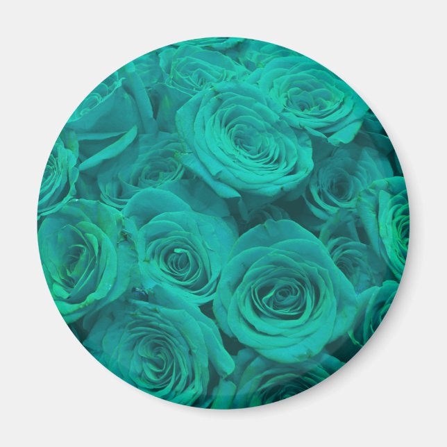 Elegant teal green roses  magnet (Front)
