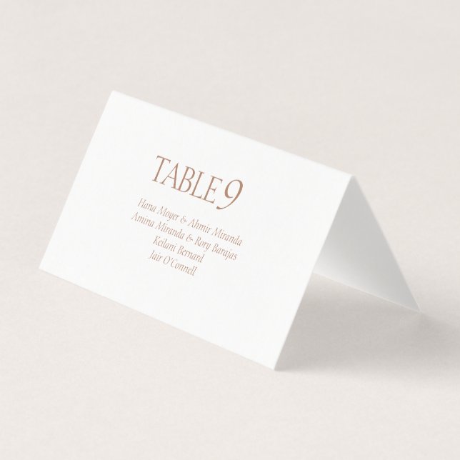 Elegant Terracotta Monogram Wedding Place Cards (Front)