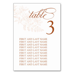 Elegant Terracotta Wedding Table Number Card