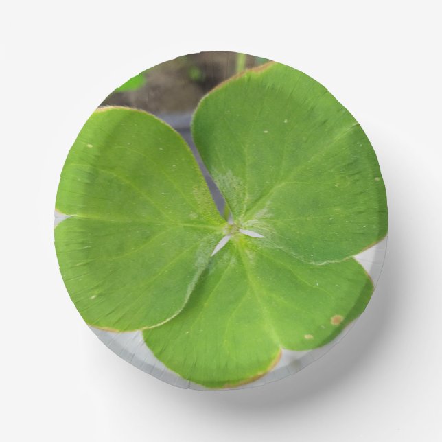 Elegant Three-Leaf Design 7-Inch Paper Plate (Front)