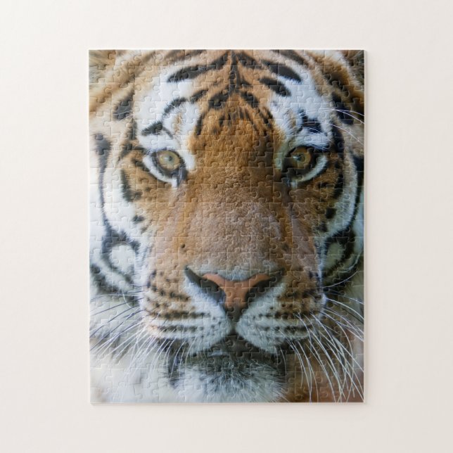 Elegant Tiger Portrait Jigsaw Puzzle (Vertical)