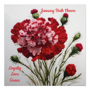 Elegant & Timeless January Birth Flower Carnation  Poster
