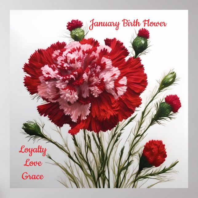 Elegant & Timeless January Birth Flower Carnation  Poster (Front)